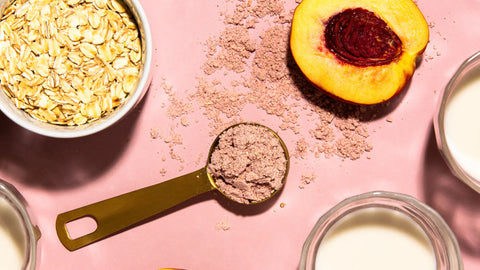 Top Reasons Why WISEMEAL is the Perfect Plant-Powered Backup Meal