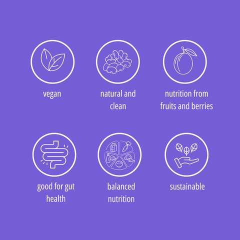 "Nutri" WISEMEAL with plum for protein - rich meal replacement smoothie - WISEMEAL